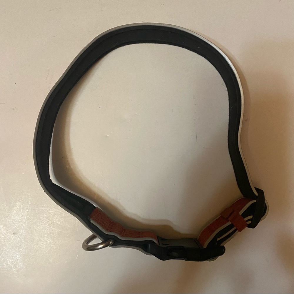 🐕‍🦺3 for $20 - KONG Collar for larger dogs